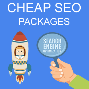 Cheap SEO packages that will rank you no. 1 in Google