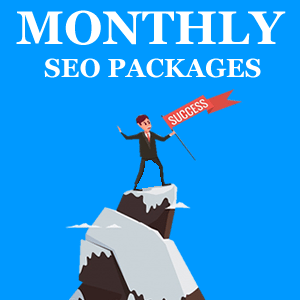 Monthly seo Packages