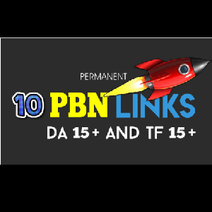 10 top quality PBN backlinks