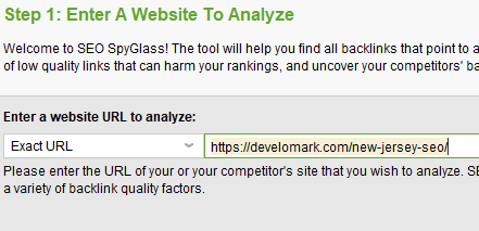 SEO SpyGlass Analyse Competitor URL