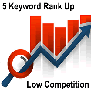 The Keyword Ranking Jump Basic (low competition keywords)