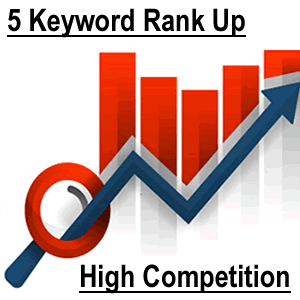 The Keyword Ranking Jump Advanced (high competition keywords)