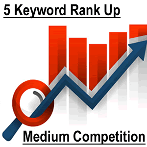 The Keyword Ranking Jump Medium competition keywords