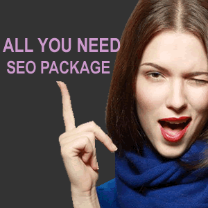 Most Complete All You Need SEO Package