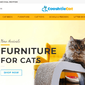 CAT Niche WordPress Dropshipping Website Ready to make you