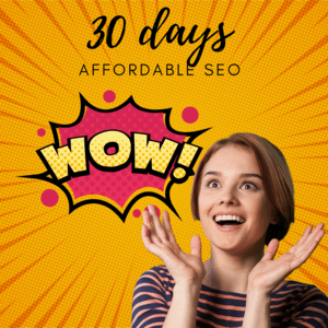 Top rated 30 days Affordable SEO For Small Business with good proven results