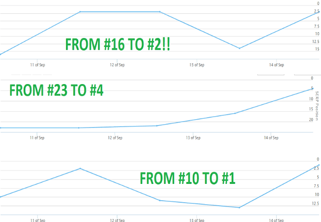 aged pbn ranking results