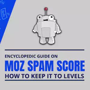 How to reduce MOZ Spam Score