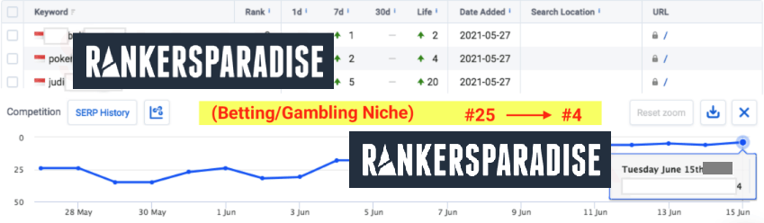 Proven ranking results for a gambling website