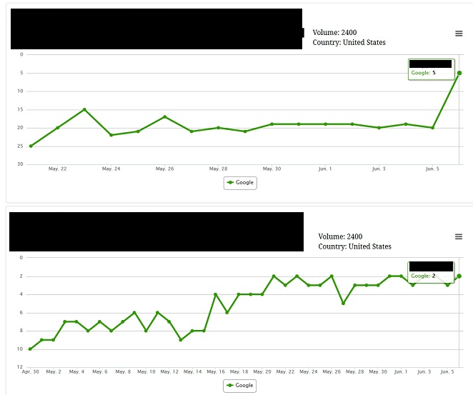 Screen shot of keyword results after customers buy backlinks in this service