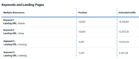 SEO White Label Services Reports