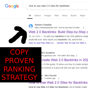 SEO Service to copy the Rankers Paradise proven ranking strategy including backlinks and on-page SEO