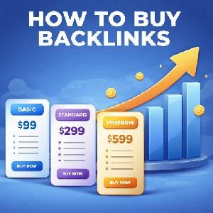 Premium Link Building: Buy Backlinks That Actually Rank Sites