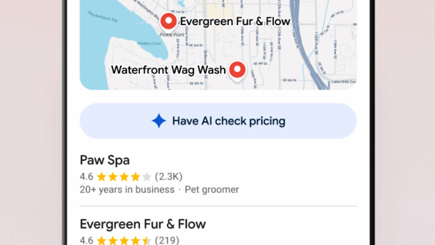 Google AI can now call up businesses for you