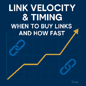 Link Velocity & Timing: When to Buy Links and How Fast