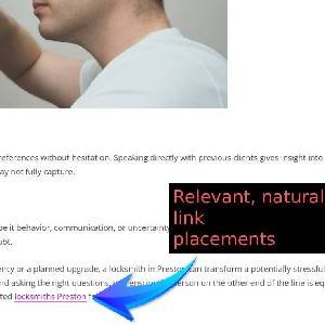 20 Curated Backlinks