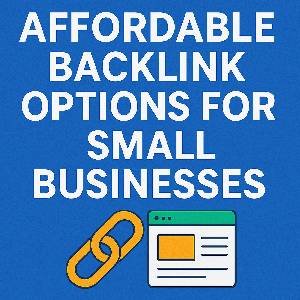 Affordable Backlink Options for Small Businesses