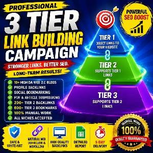 Professional 3 Tier Link Building Campaign featuring manual Web 2.0 backlinks, social bookmarks, profile links and multi-tier SEO strategy.